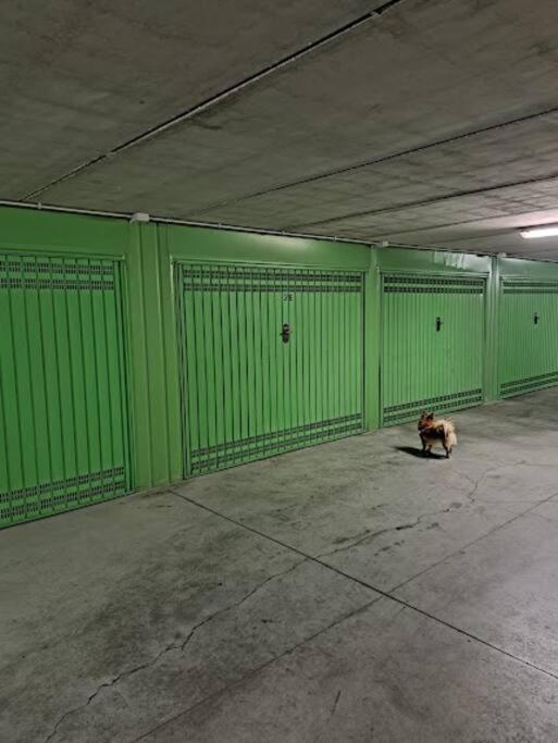 Centrale Vicino Spiagge E Ciclabile + Box-Auto ! Leilighet Arma di Taggia Eksteriør bilde